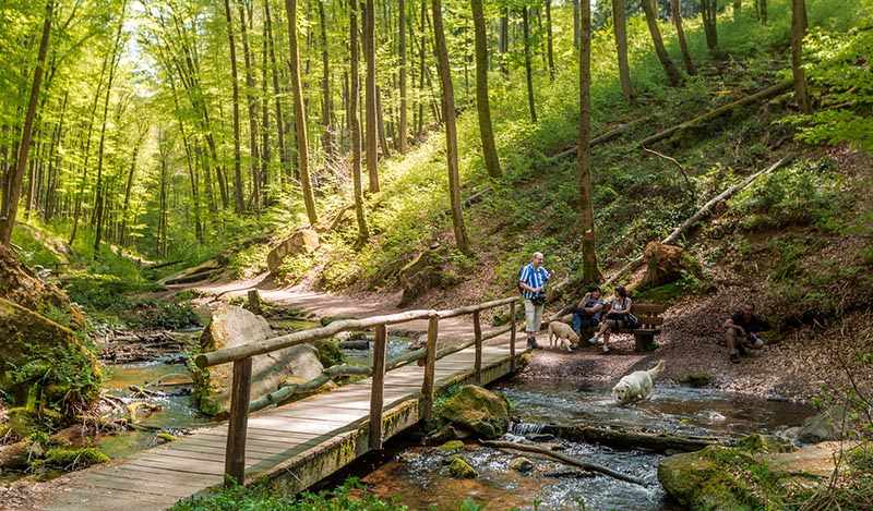 Karlstal / Karlsschlucht Pfalz_L